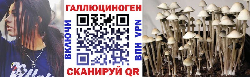 наркошоп  Невельск  Галлюциногенные грибы Psilocybine cubensis 